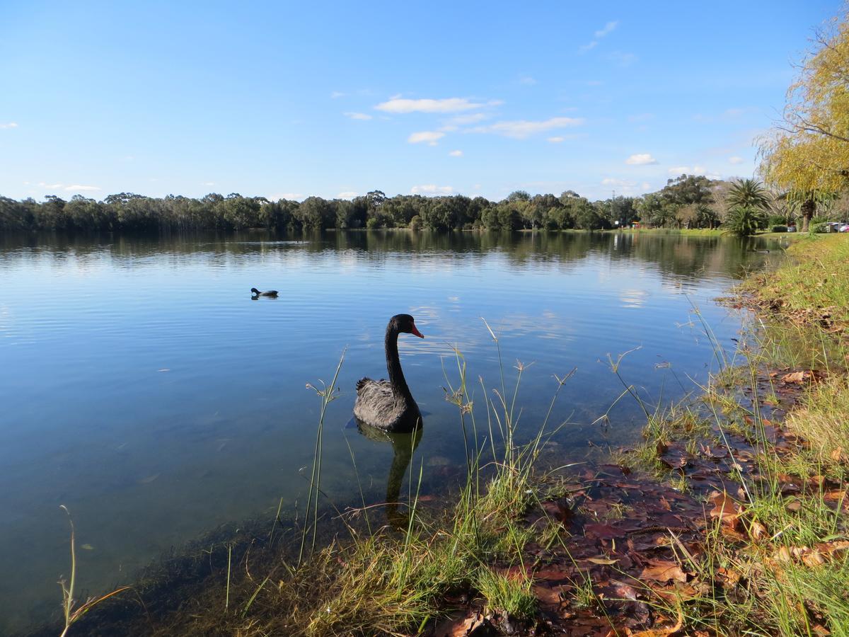 Northwood Bed And Breakfast Perth Bagian luar foto